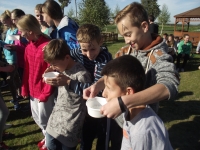 Zdjęcie: Piknik klas pierwszych