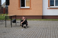 Zdjęcie: Szkoła bez Przemocy
