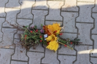 Zdjęcie: Rajd przyrodniczy