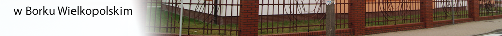 Szkoła Borek